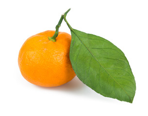 tangerine with leaf on white background