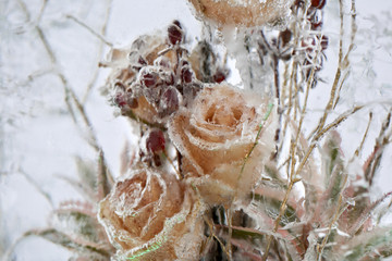 Frozen flowers.
