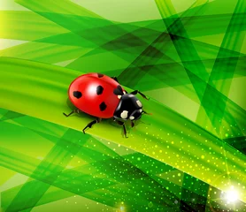 Raamstickers Vectorlieveheersbeestje op de achtergrond van groen weelderig gras © Alkestida