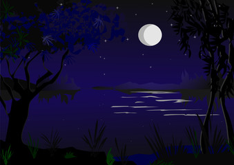 Romantic moonlight