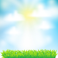 Fototapeta na wymiar tło wiosną z trawy, niebo i chmury