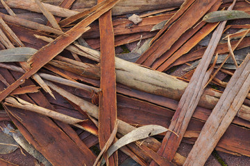 Background of Plants Remains