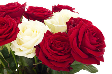 Beautiful roses