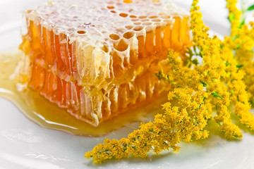 sweet honeycomb with honey