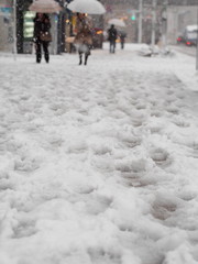 東京に積雪