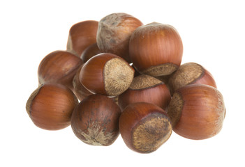 Dried hazelnuts