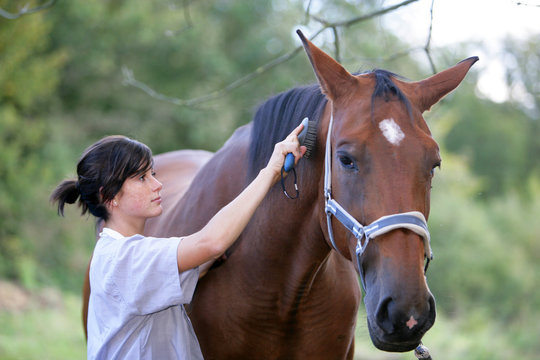 L-Cheval