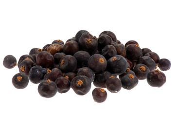Detailaufnahme Wacholderbeeren freigestellt