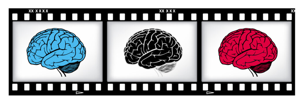 brains on film background