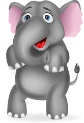 Funny elephant cartoon