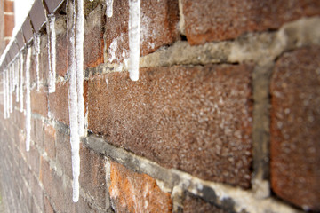 Snow in Holland - The Hague / Den Haag