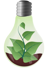 plant lightbulb