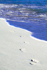 Fußspuren am karibischen Strand 2