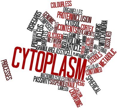 Word cloud for Cytoplasm