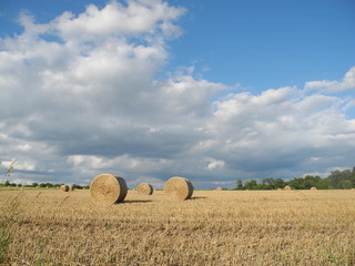 Rundballen auf einem Getreidefeld