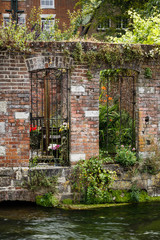 Fototapete bei efototapeten.de bestellen   