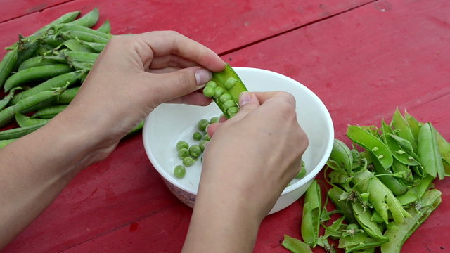 woman hand pod pease dish wooden table. ecologic food nutrition