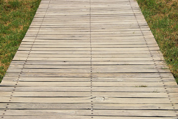 Wooden path