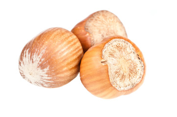 Hazelnuts over a white background