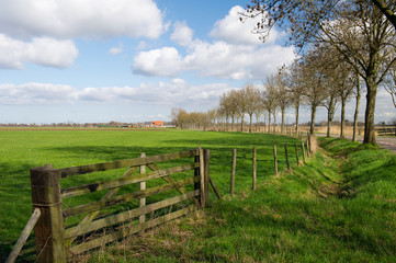 Fototapeta na wymiar Holenderski krajobraz rolnictwo