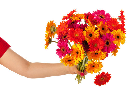 Colorful bouquet Gerber