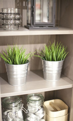 étagère de cuisine plante verte