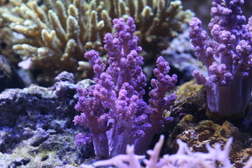 water world aquarium