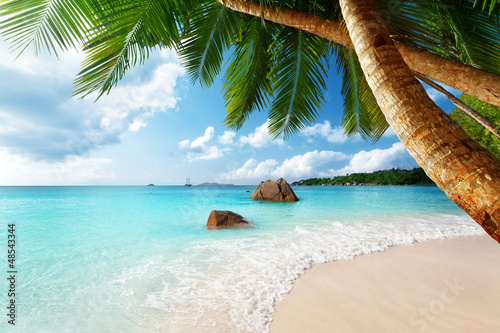 пляж берег пальмы море бесплатно