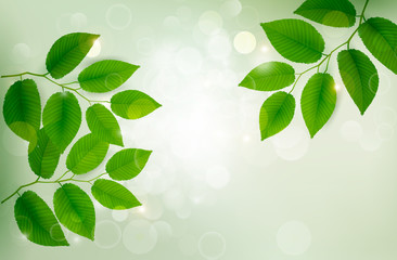Fototapeta premium Nature background with green fresh leaves . Vector illustration.