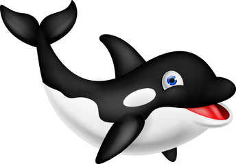 Naklejka premium Orca cartoon