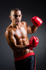 Fototapeta na wymiar Muscular bokser w strzelaniu studio