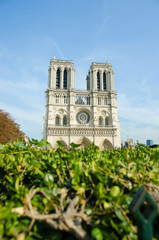 Notre Dame de Paris cathedral in summer day