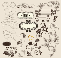 calligraphic decorative elements for design in vintage style