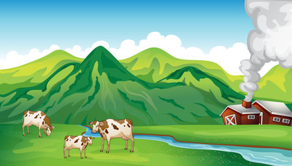 Een boerderij en koeien