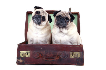 Where are we going?