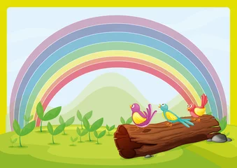 Kussenhoes Vogels kijken naar de regenboog © GraphicsRF