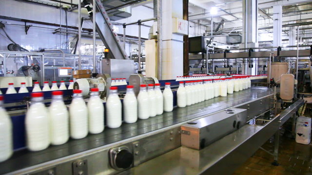 bottles milk stand in one row and move at factory