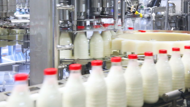 fresh milk poured into bottles, screwed red caps