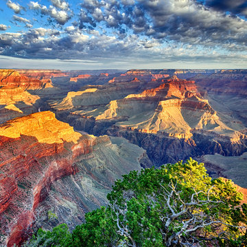 Fototapeta poranne światło w Grand Canyon