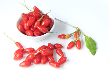 Goji-Beeren (Lycium barbarum)