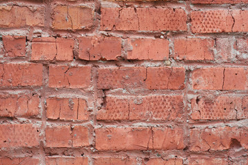 Fototapeta premium Wall