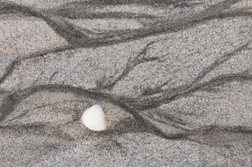 Seashell and water patterns on the beach