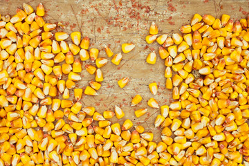 corn beans on wooden background © ctvvelve