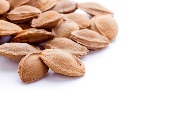 a heap of apricot pits with copy space - isolated
