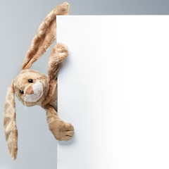 Stuffed bunny peeking behind blank board - upright
