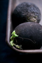 black radish