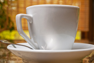 cup of cappuccino