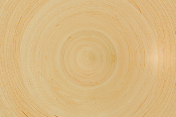 Wood rings texture - wooden background.