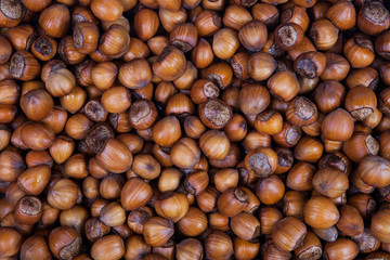 Hazelnut