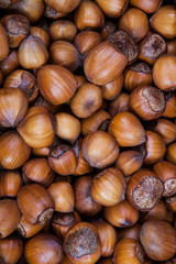 Hazelnut
